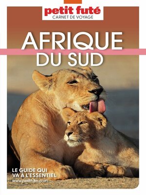 cover image of AFRIQUE DU SUD 2025 Carnet Petit Futé